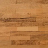 cerisier européen.webp